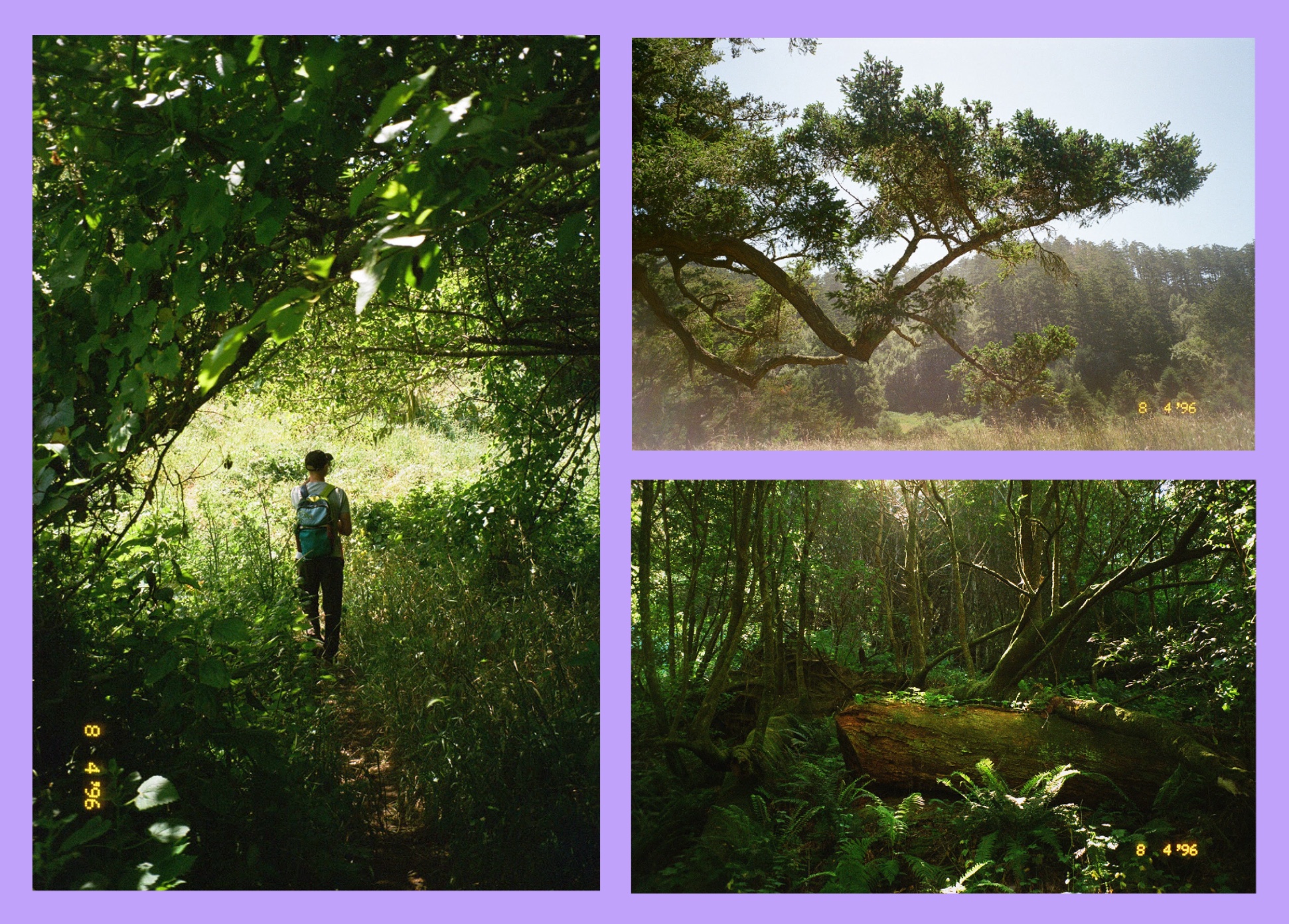 chris hiking